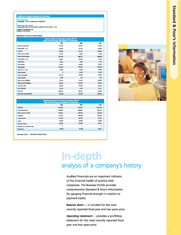 business profile report